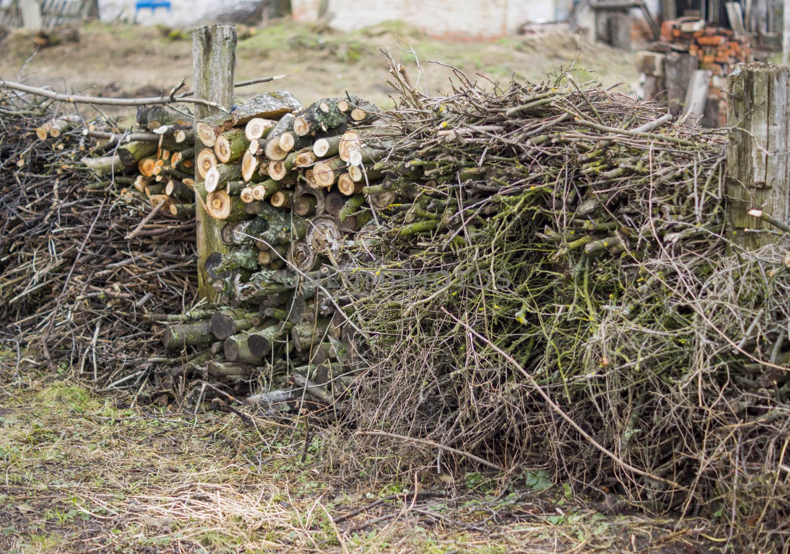 Background of dry chopped firewood logs stacked up in a pile