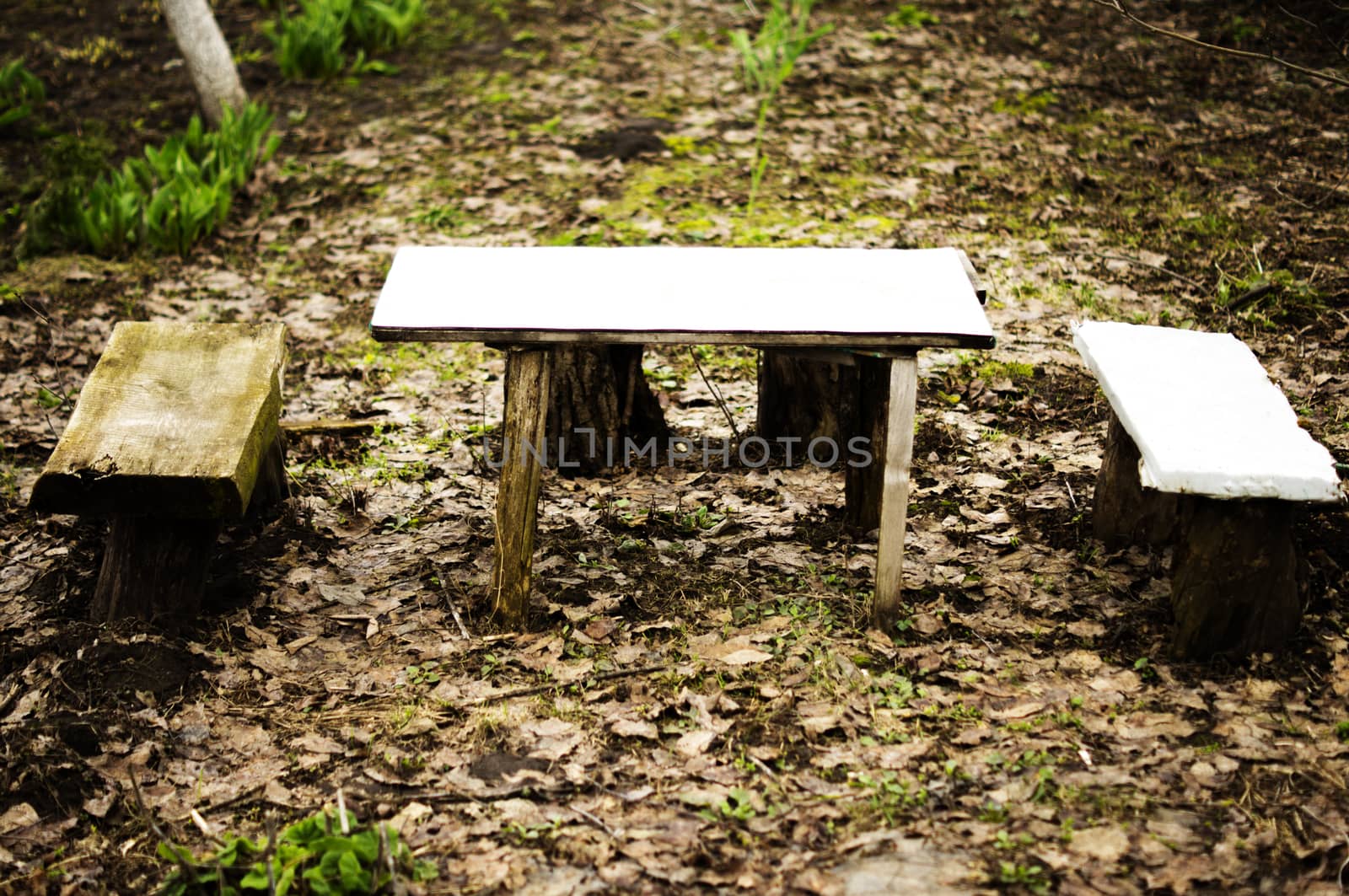 benches in the woods. For your commercial and editorial use. by serhii_lohvyniuk