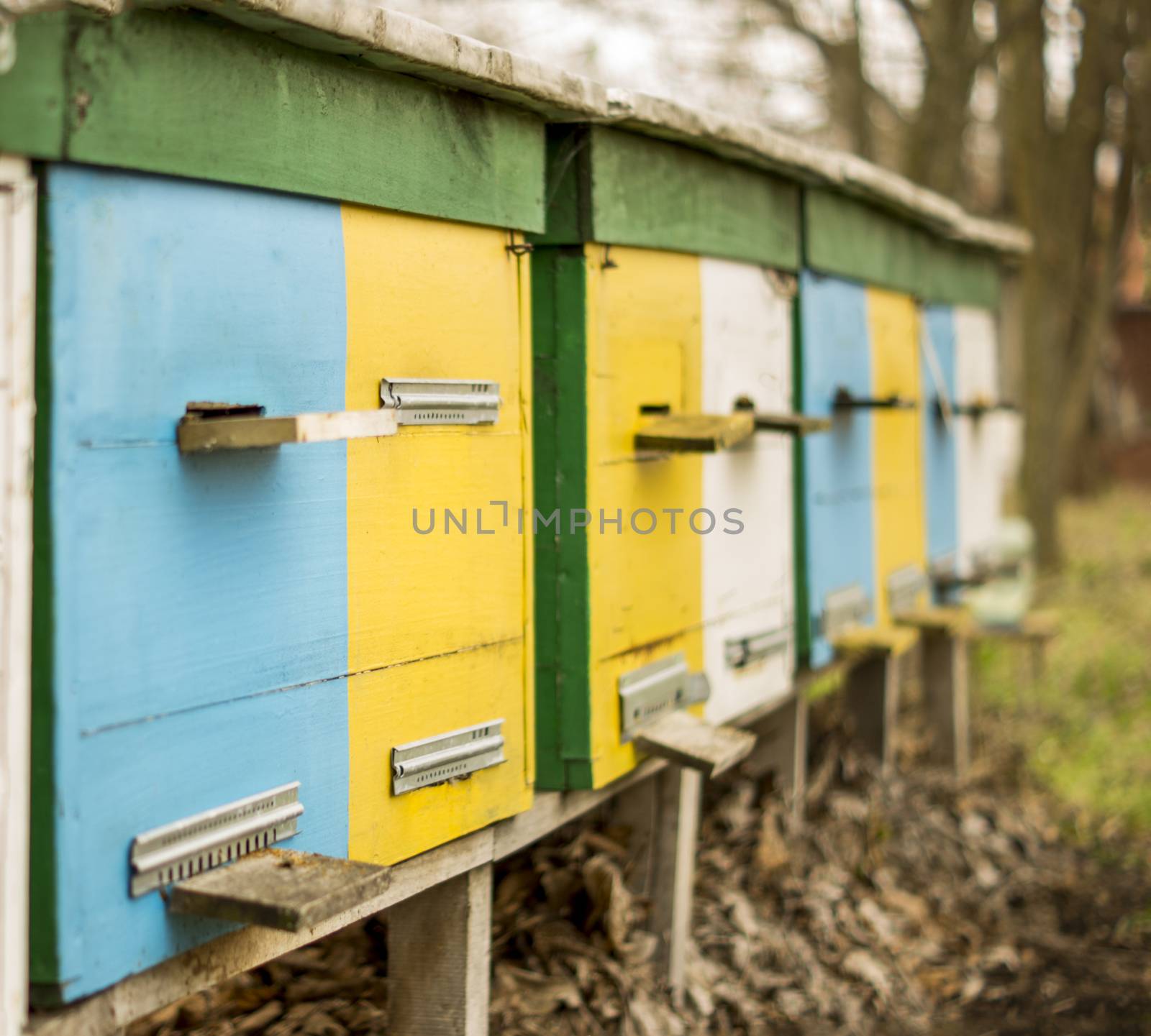 apiary. For your commercial and editorial use.