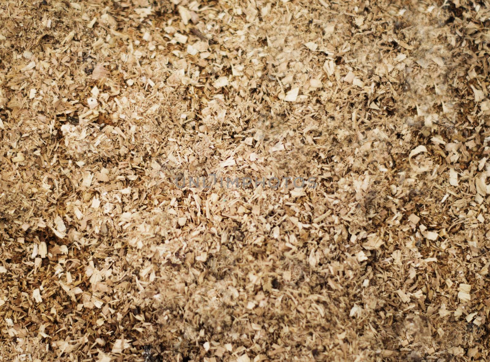 Wood Sawdust Texture Background. For your commercial and editorial use. by serhii_lohvyniuk