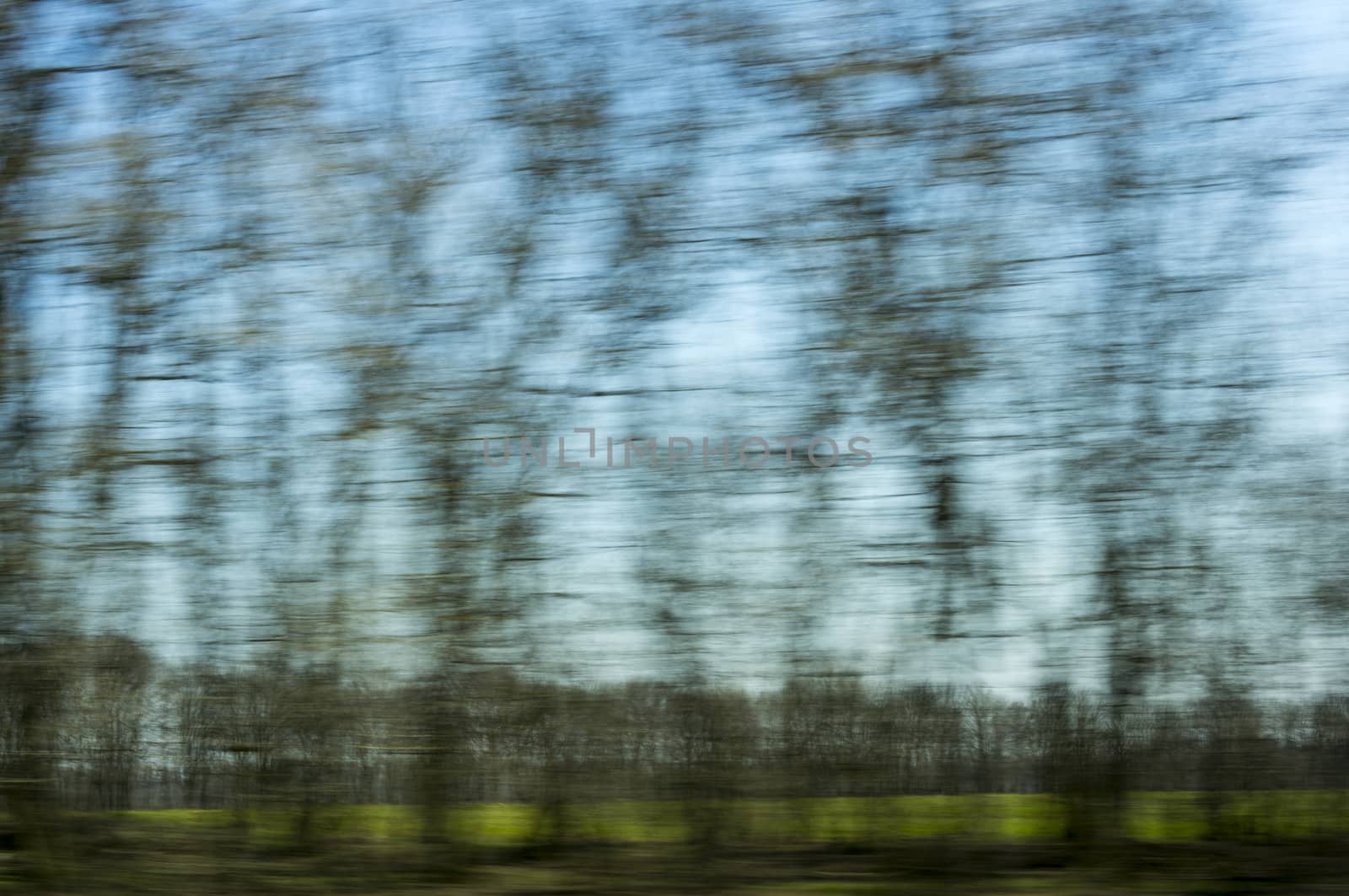 green trees - a blurred window view from a train in motion.