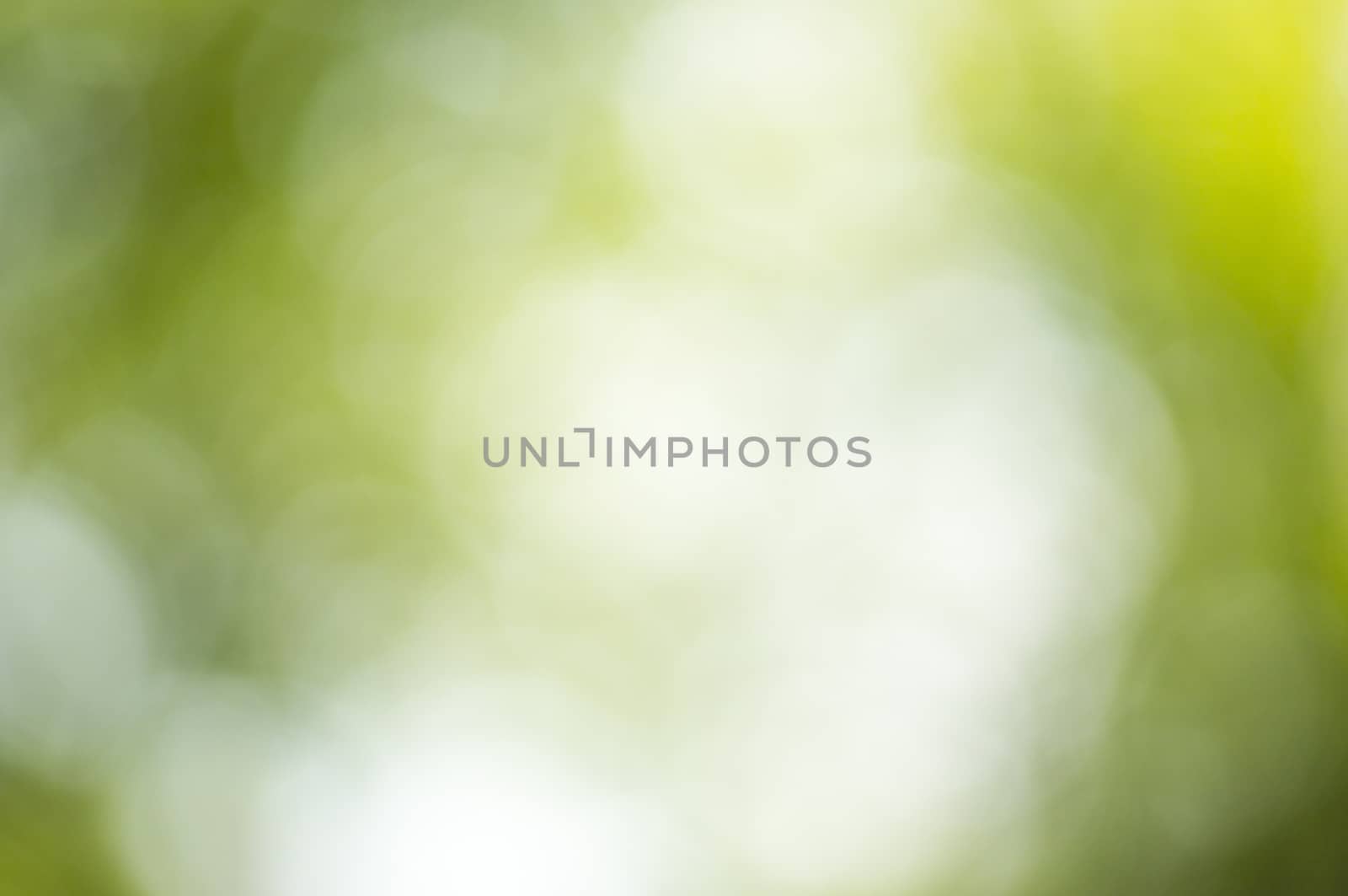 Beautiful Nature Bokeh.Blurred background. For your commercial and editorial use by serhii_lohvyniuk