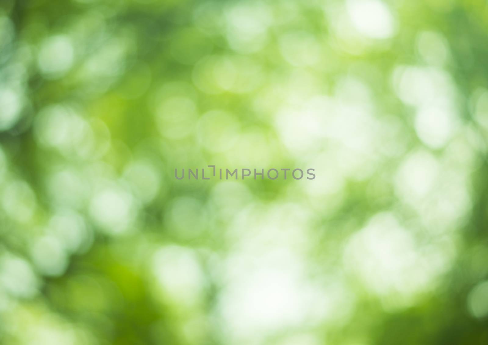 Beautiful Nature Bokeh.Blurred background. For your commercial and editorial use by serhii_lohvyniuk