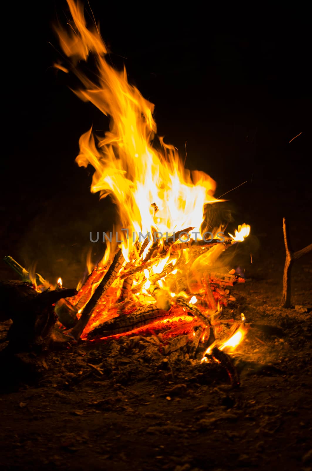 Flames of a campfire in the night. For your commercial and editorial use by serhii_lohvyniuk