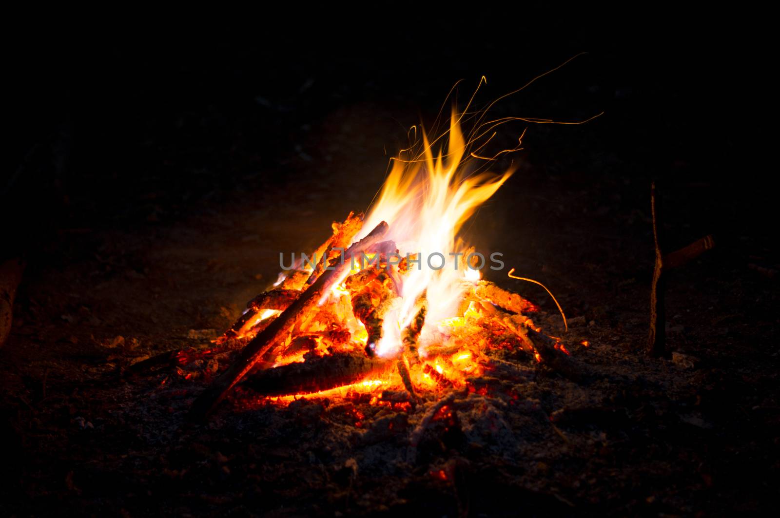 Flames of a campfire in the night. For your commercial and editorial use by serhii_lohvyniuk