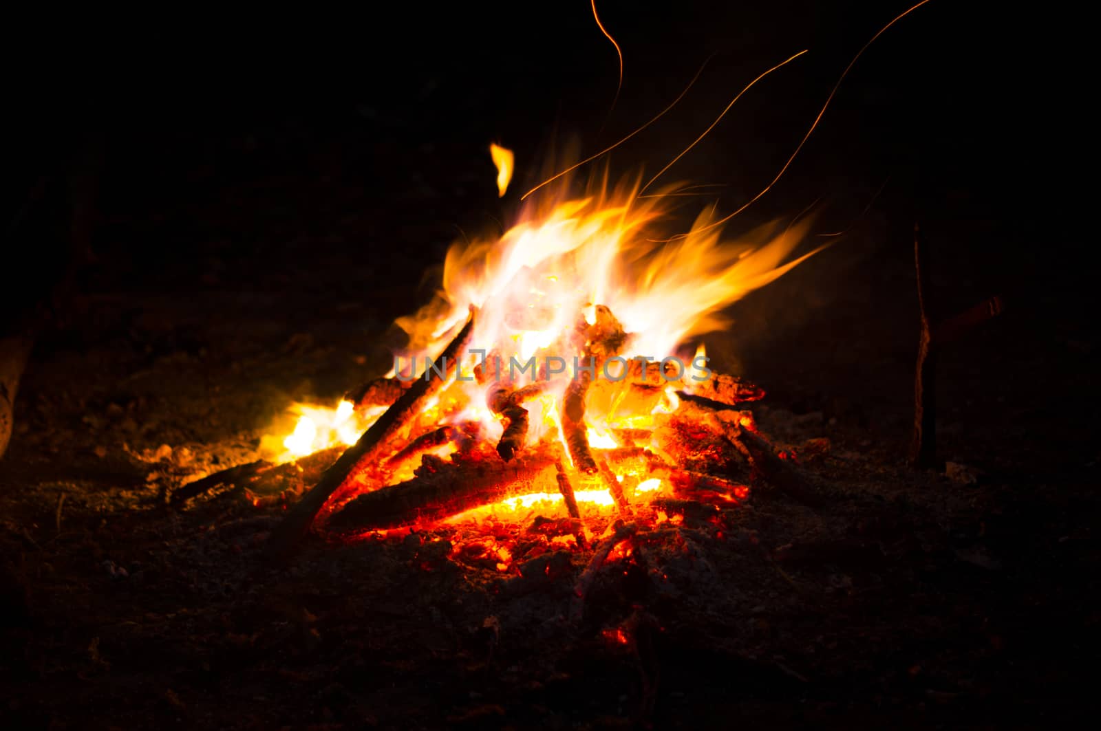 Flames of a campfire in the night. For your commercial and editorial use by serhii_lohvyniuk