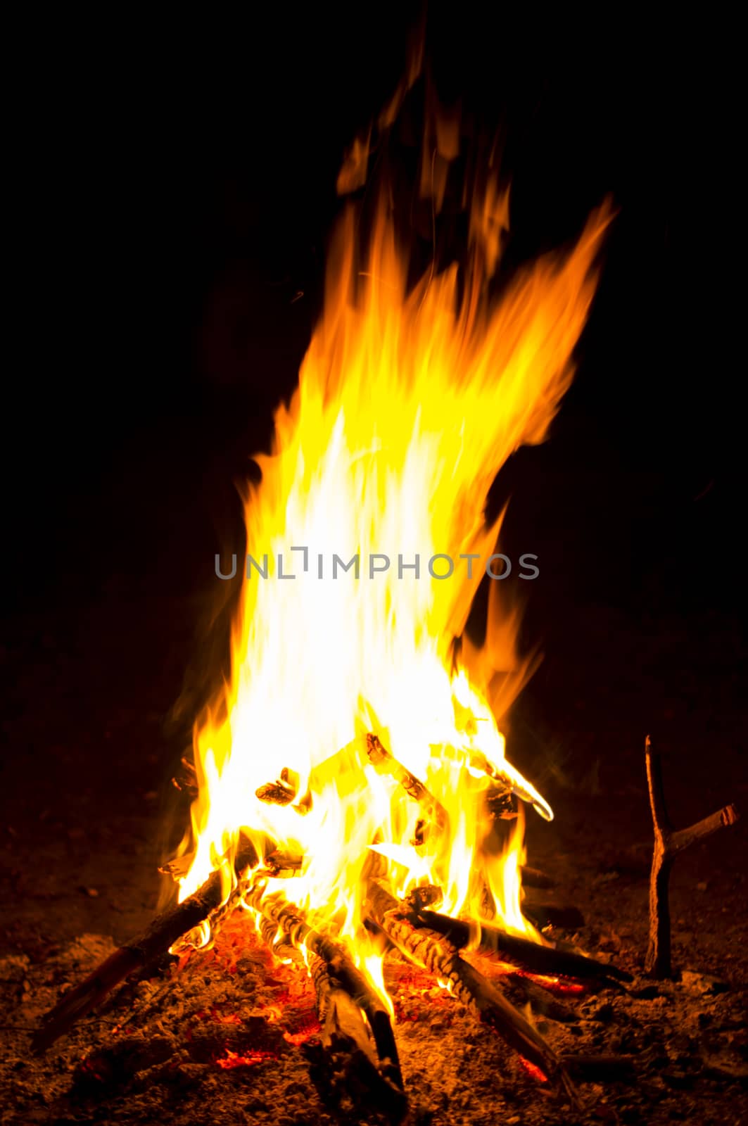 Flames of a campfire in the night. For your commercial and editorial use by serhii_lohvyniuk