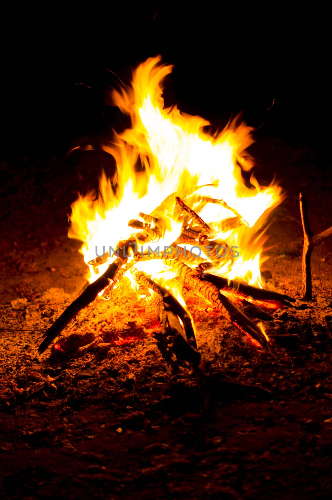 Flames of a campfire in the night. For your commercial and editorial use.