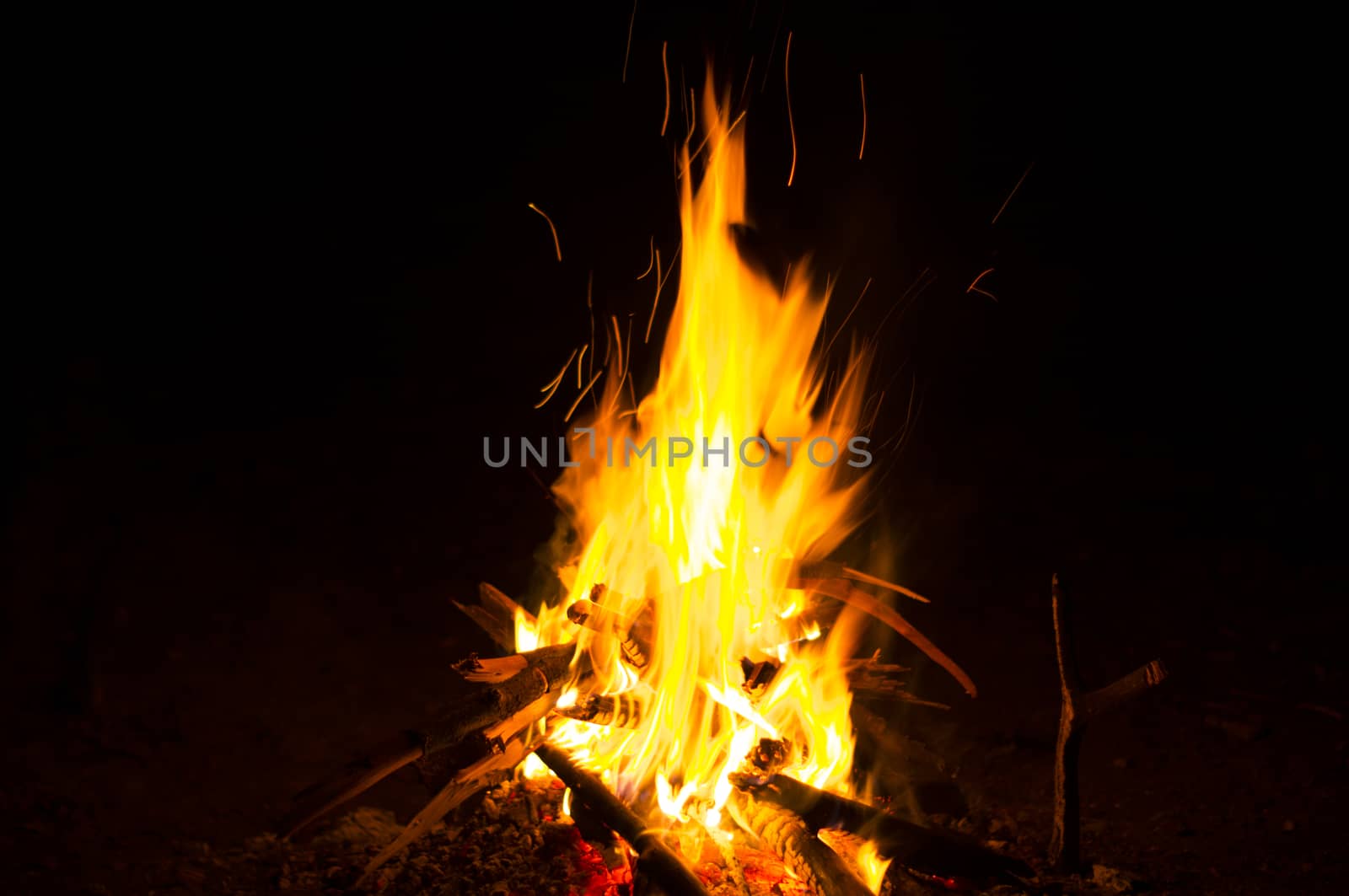 Flames of a campfire in the night. For your commercial and editorial use by serhii_lohvyniuk