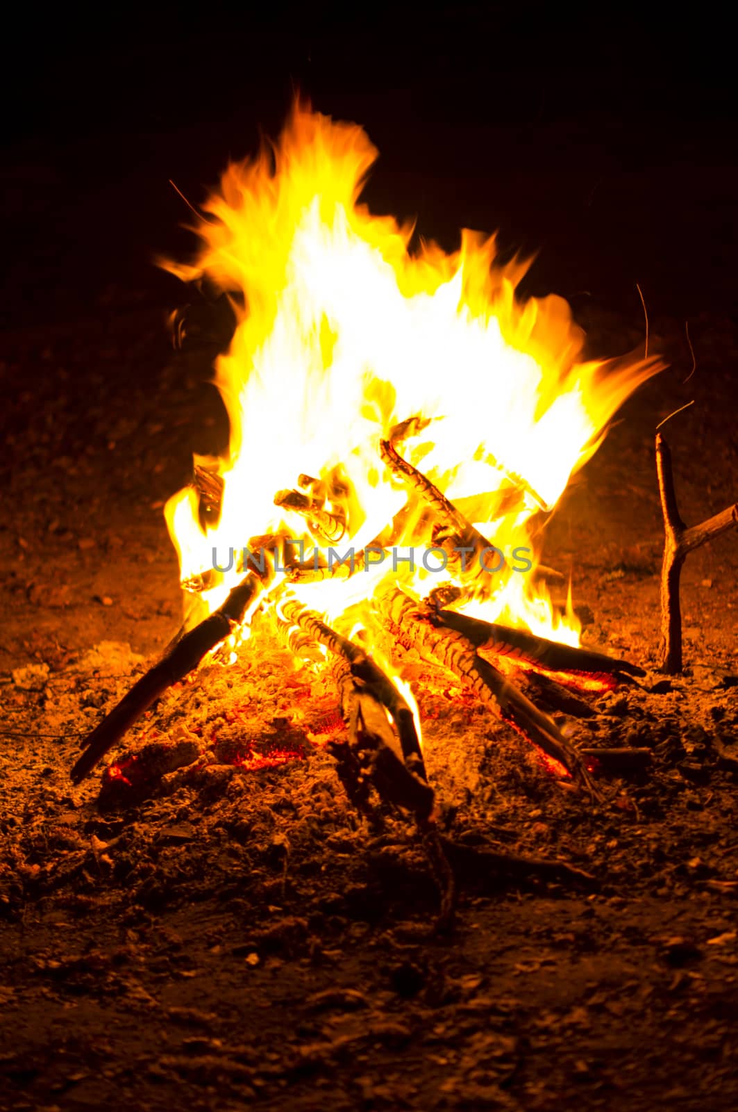 Flames of a campfire in the night. For your commercial and editorial use.