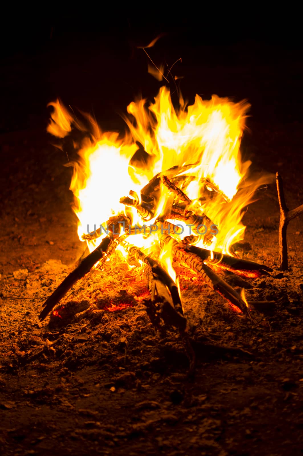 Flames of a campfire in the night. For your commercial and editorial use.