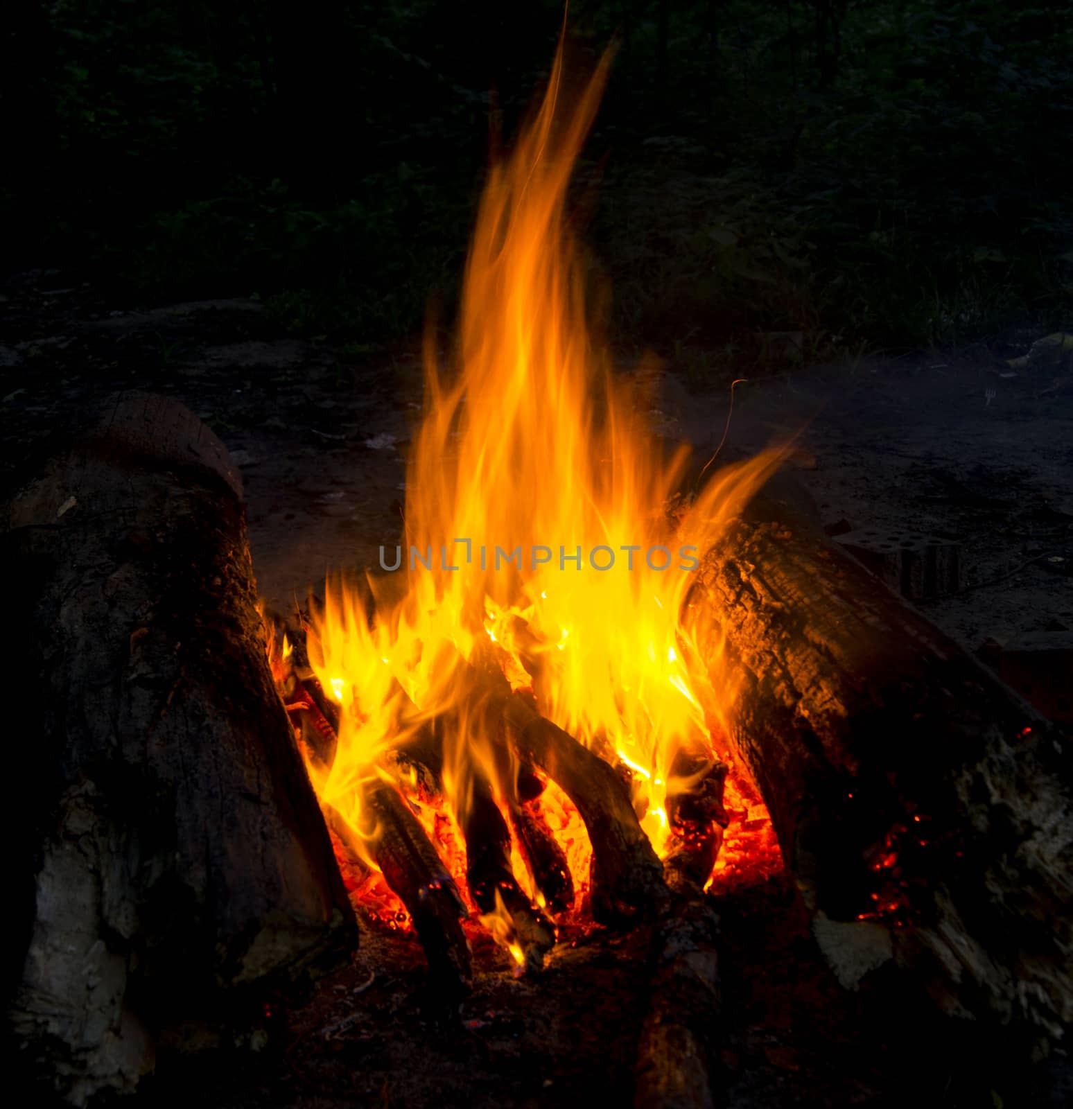 Flames of a campfire in the night by serhii_lohvyniuk