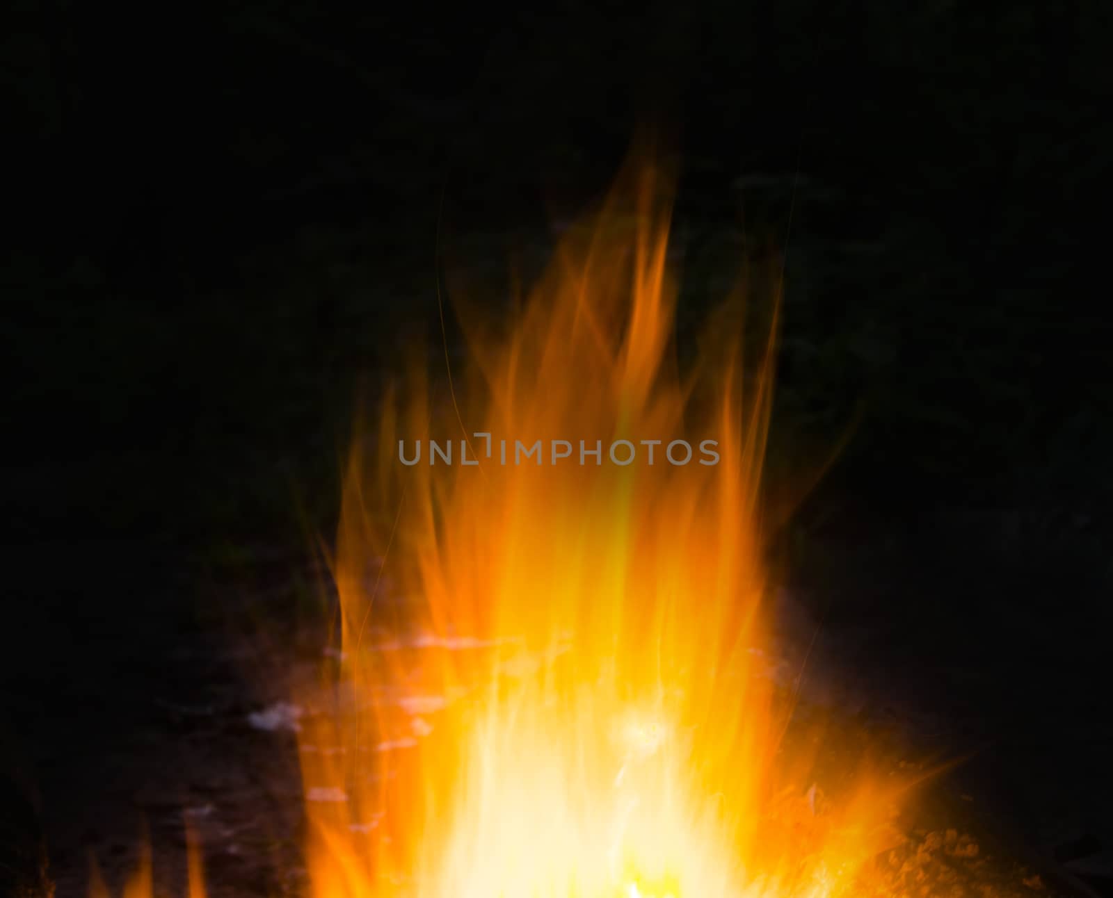 Flames of a campfire in the night by serhii_lohvyniuk