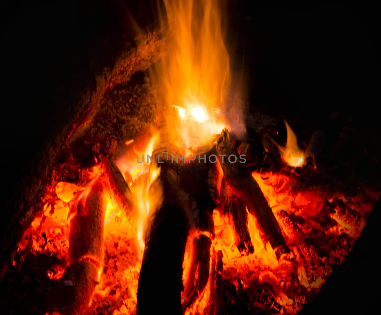 Flames of a campfire in the night by serhii_lohvyniuk