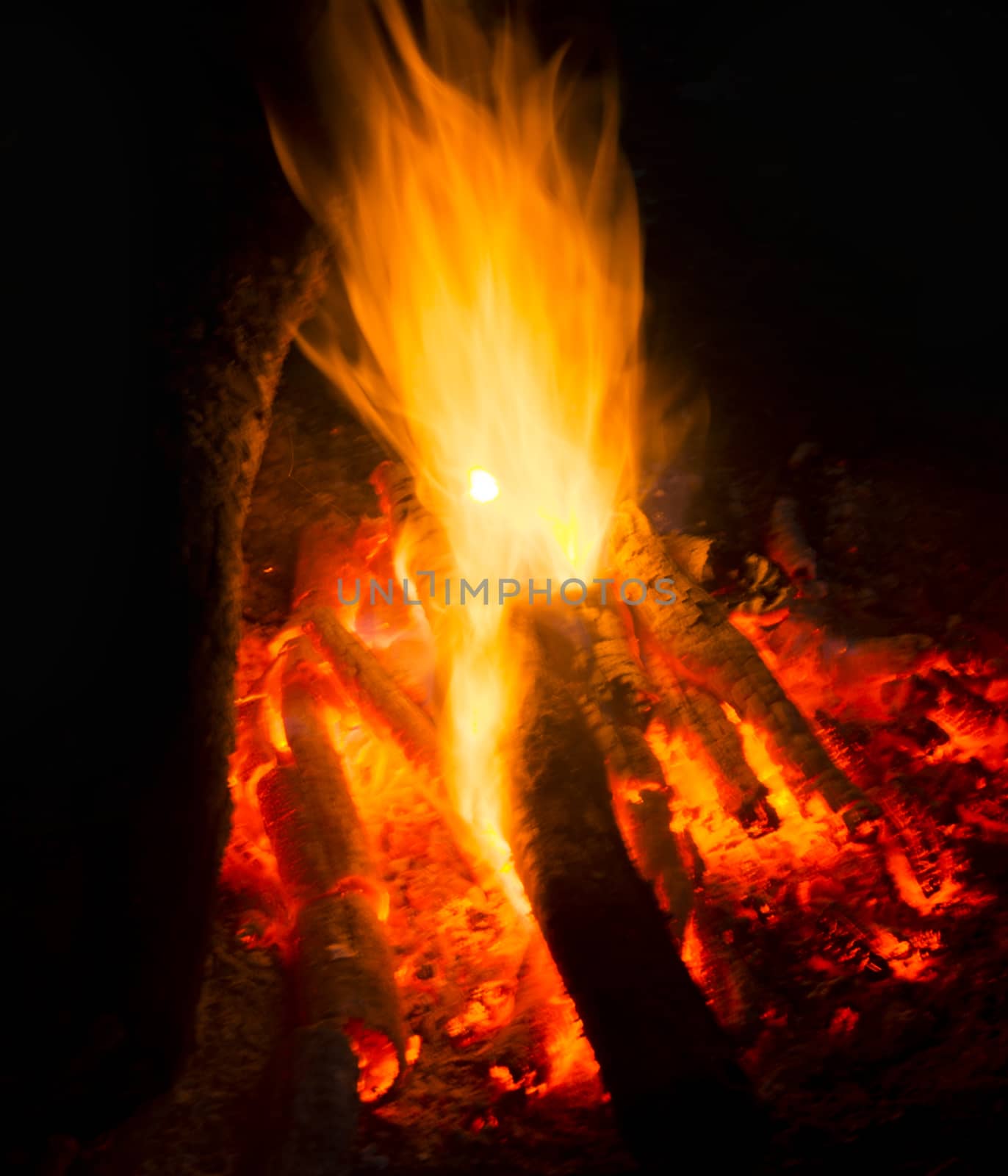 Flames of a campfire in the night by serhii_lohvyniuk