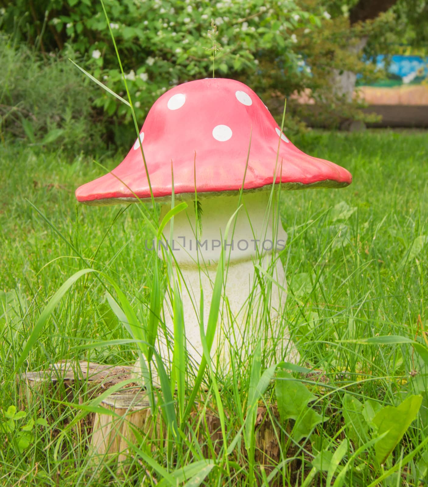 Close-upof a Amanita poisonous mushroom in nature. For your commercial and editorial use.