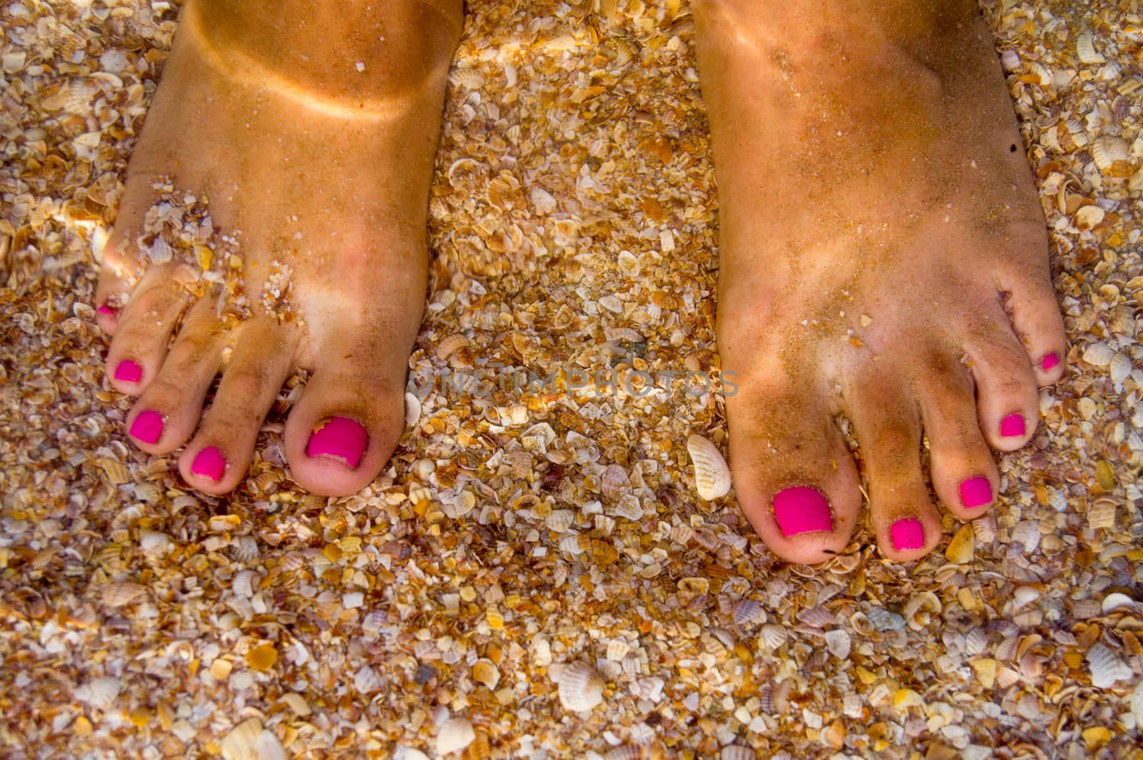 feet under water. For your commercial and editorial use.