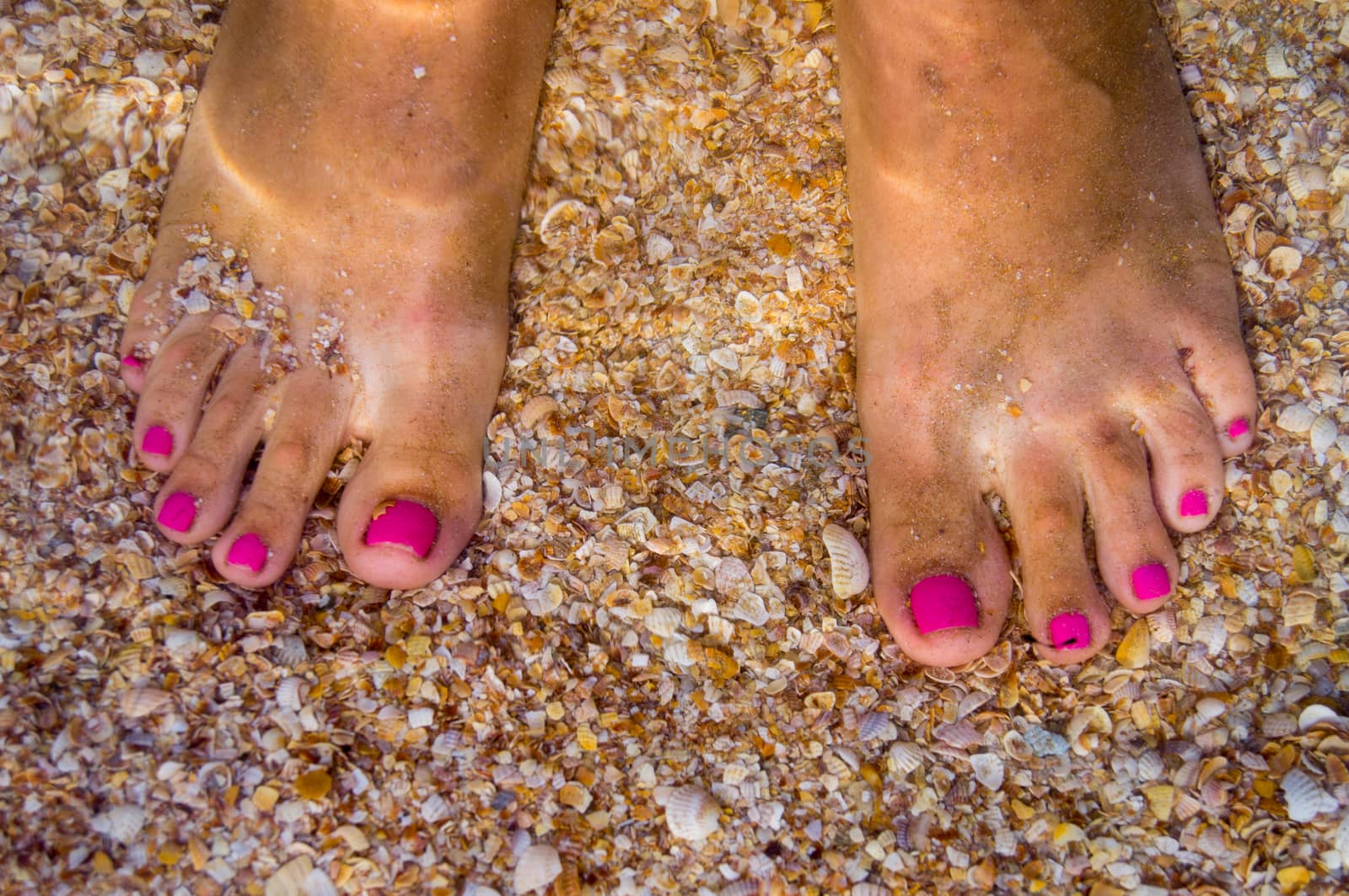 feet under water. For your commercial and editorial use.