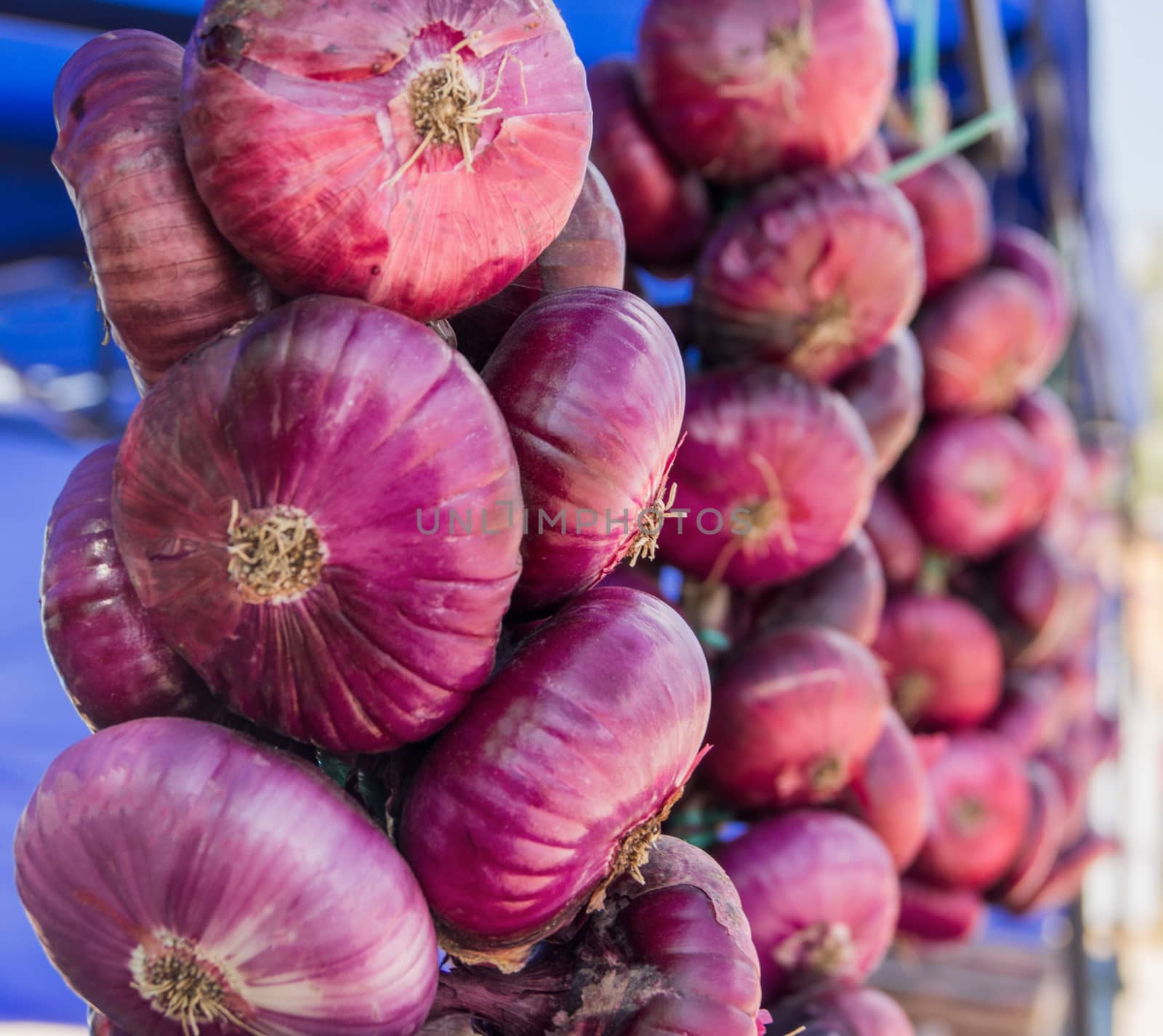 many blu bulb onions like food background by serhii_lohvyniuk