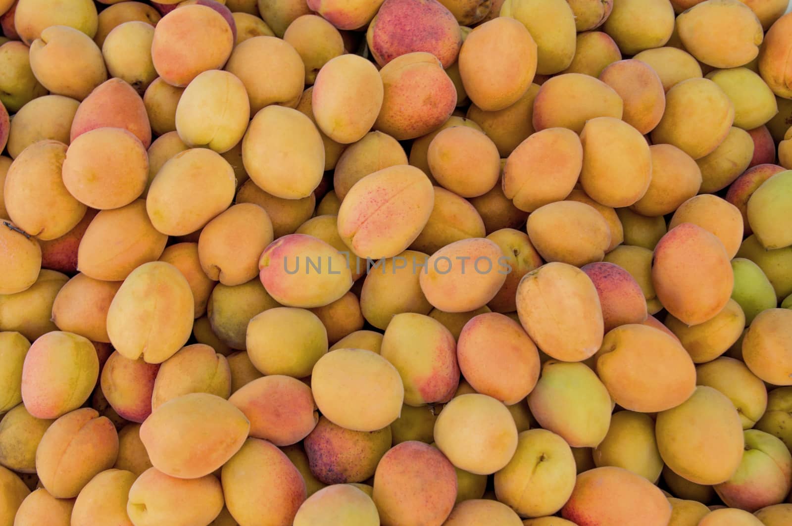 Fresh apricots. For your commercial and editorial use.
