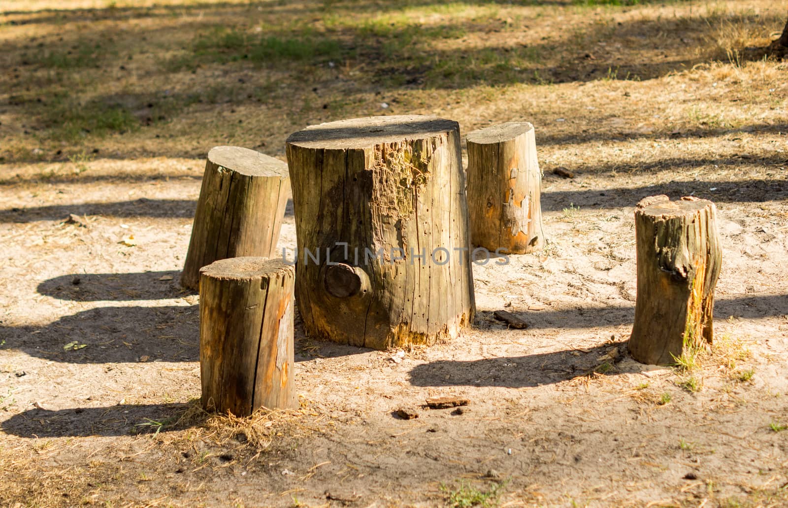 Stumps used as table and chairs outside in the garden. For your commercial and editorial use.