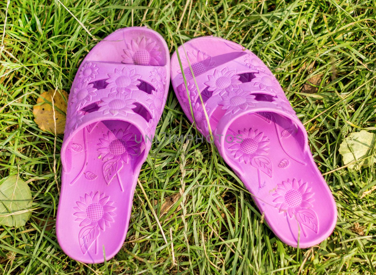 A pair of flip flops are left on field of a relaxed day. For your commercial and editorial use.