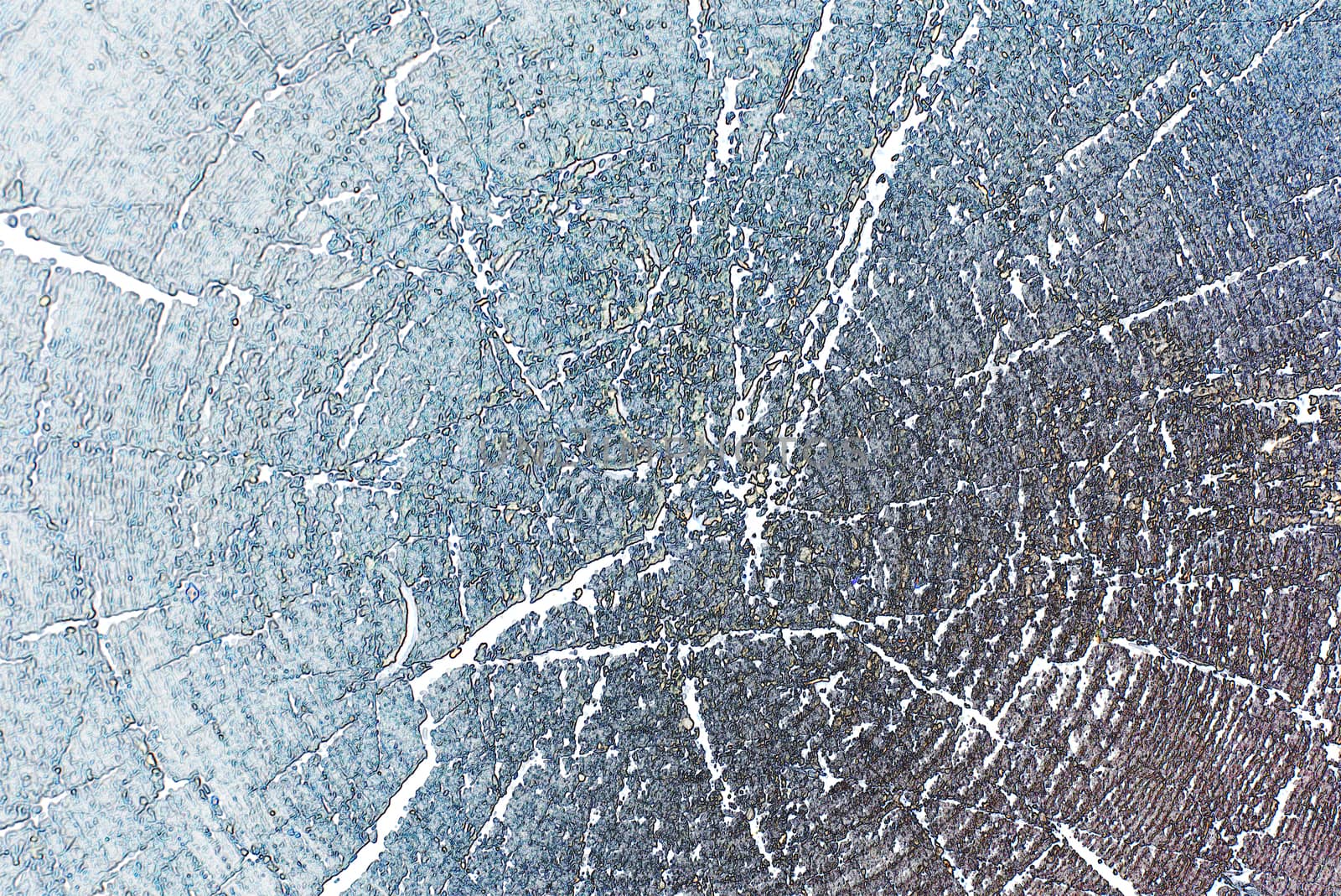 grunge texture of cracked by serhii_lohvyniuk