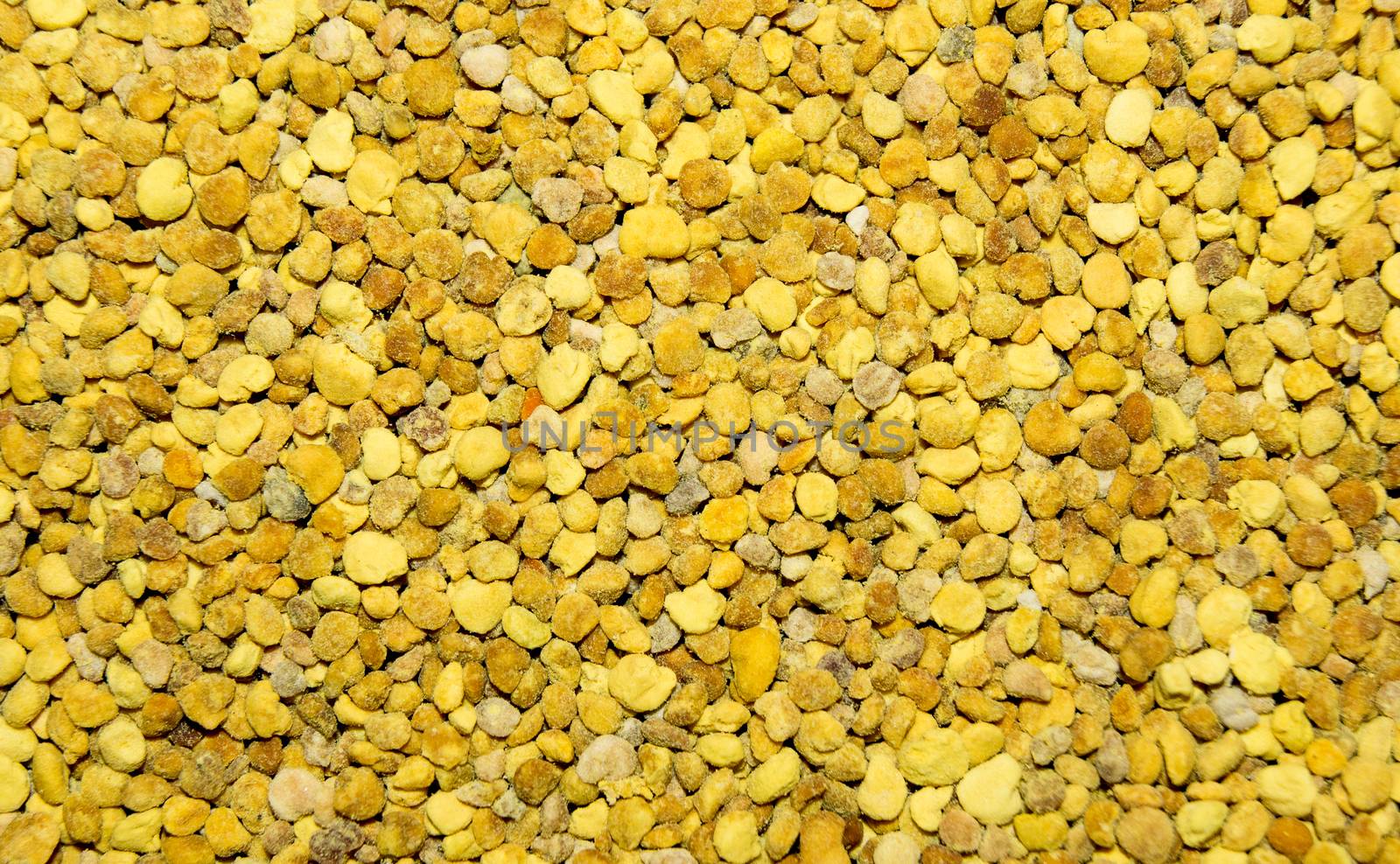 Bee Pollen texture. For your commercial and editorial use.