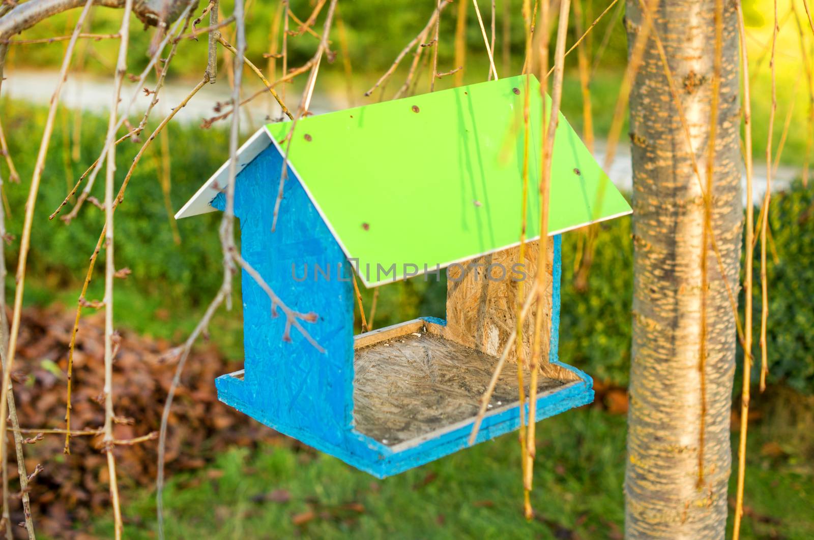 Green wooden bird nest box. For your commercial and editorial use.