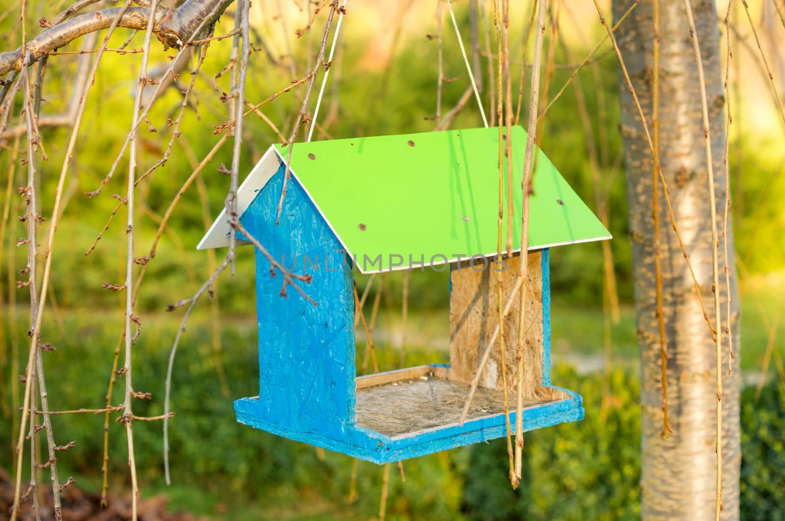 Green wooden bird nest box by serhii_lohvyniuk