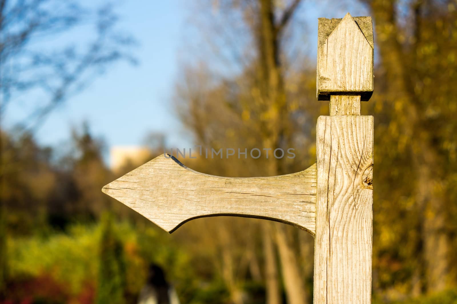 Old wooden arrow indicating the direction in park by serhii_lohvyniuk