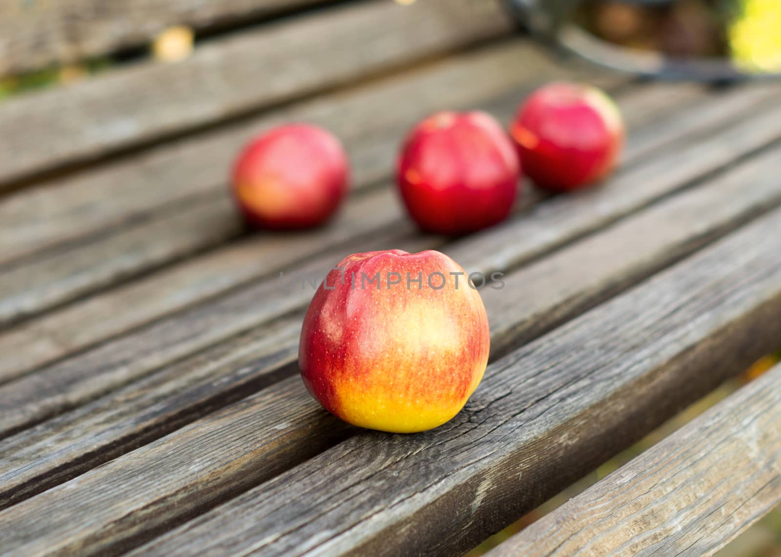 Fresh apples on bench by serhii_lohvyniuk