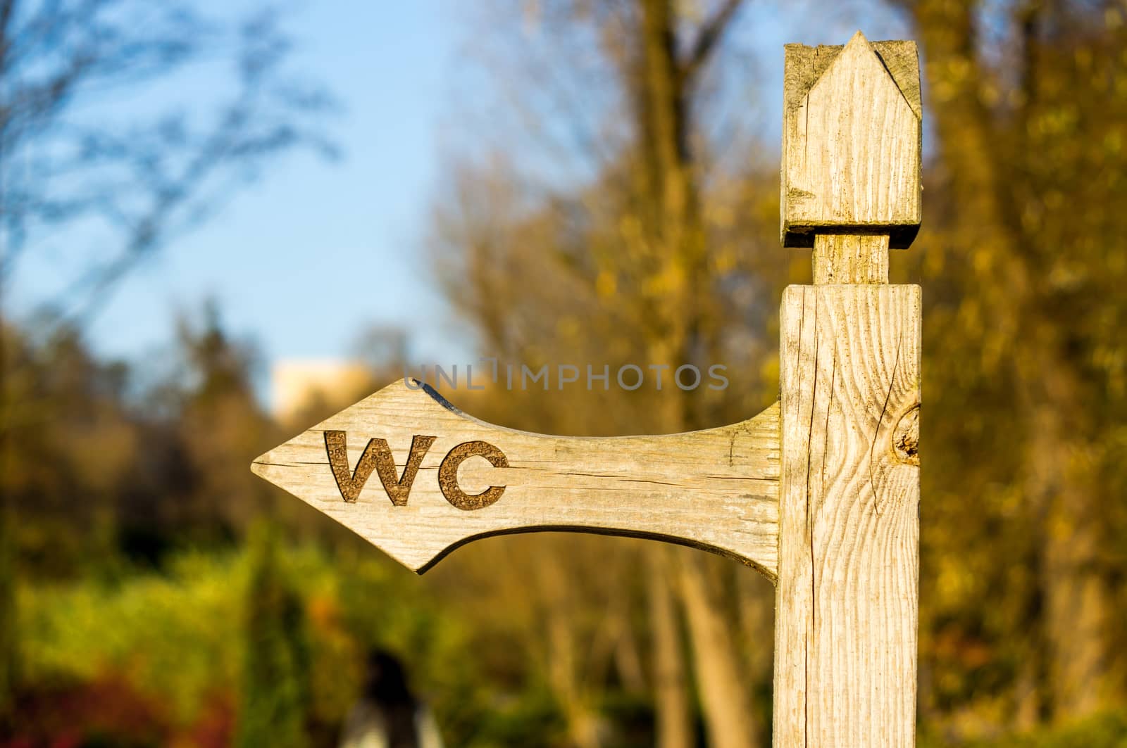 Old wooden arrow indicating the direction in park. For your commercial and editorial use.