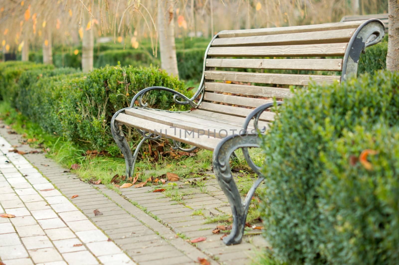 bench in the autumn park by serhii_lohvyniuk