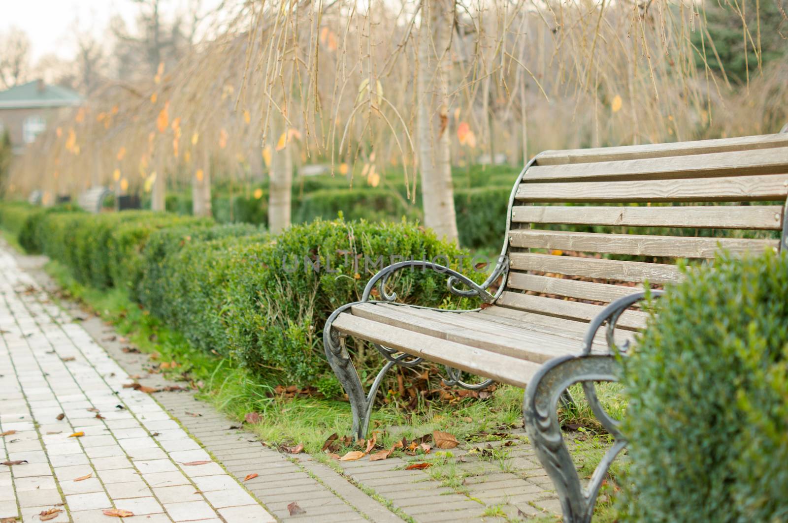 bench in the autumn park. For your commercial and editorial use.