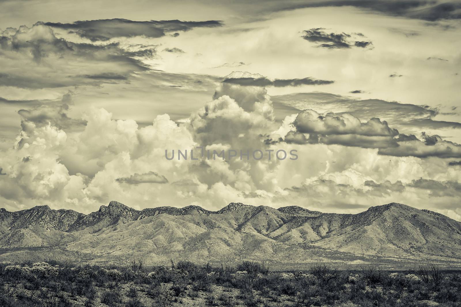 Desert wilderness mountains during monsoon season in Arizona