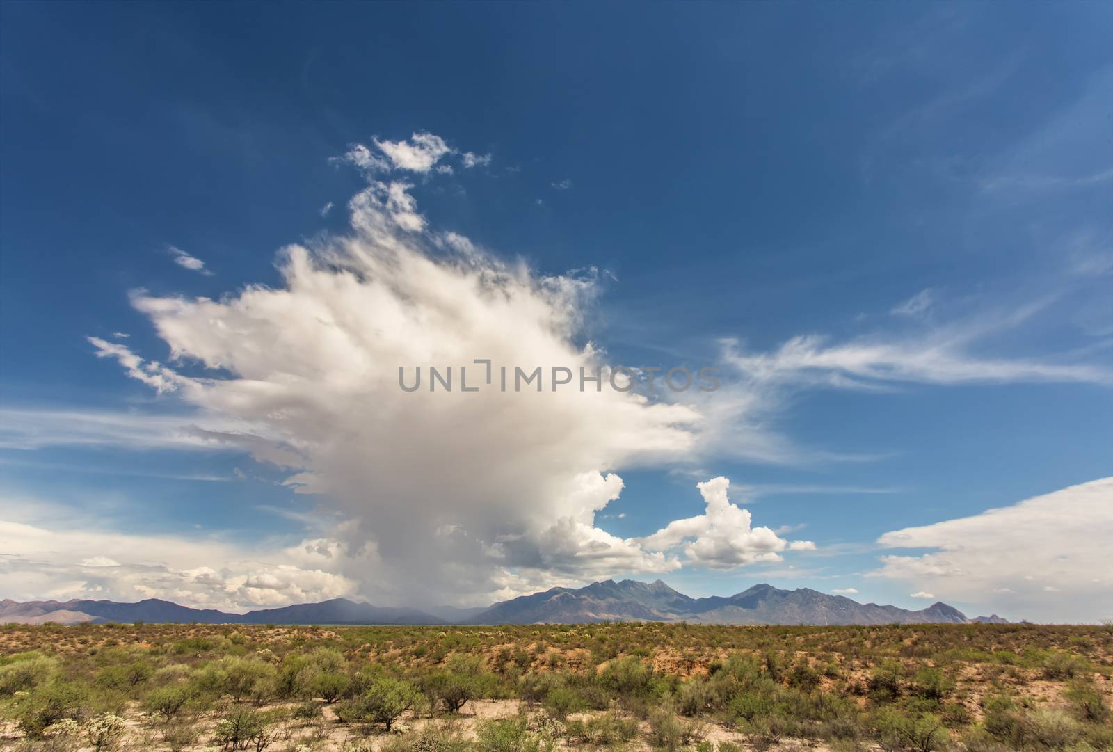 Storm Build Up in Arizona Desert by Creatista