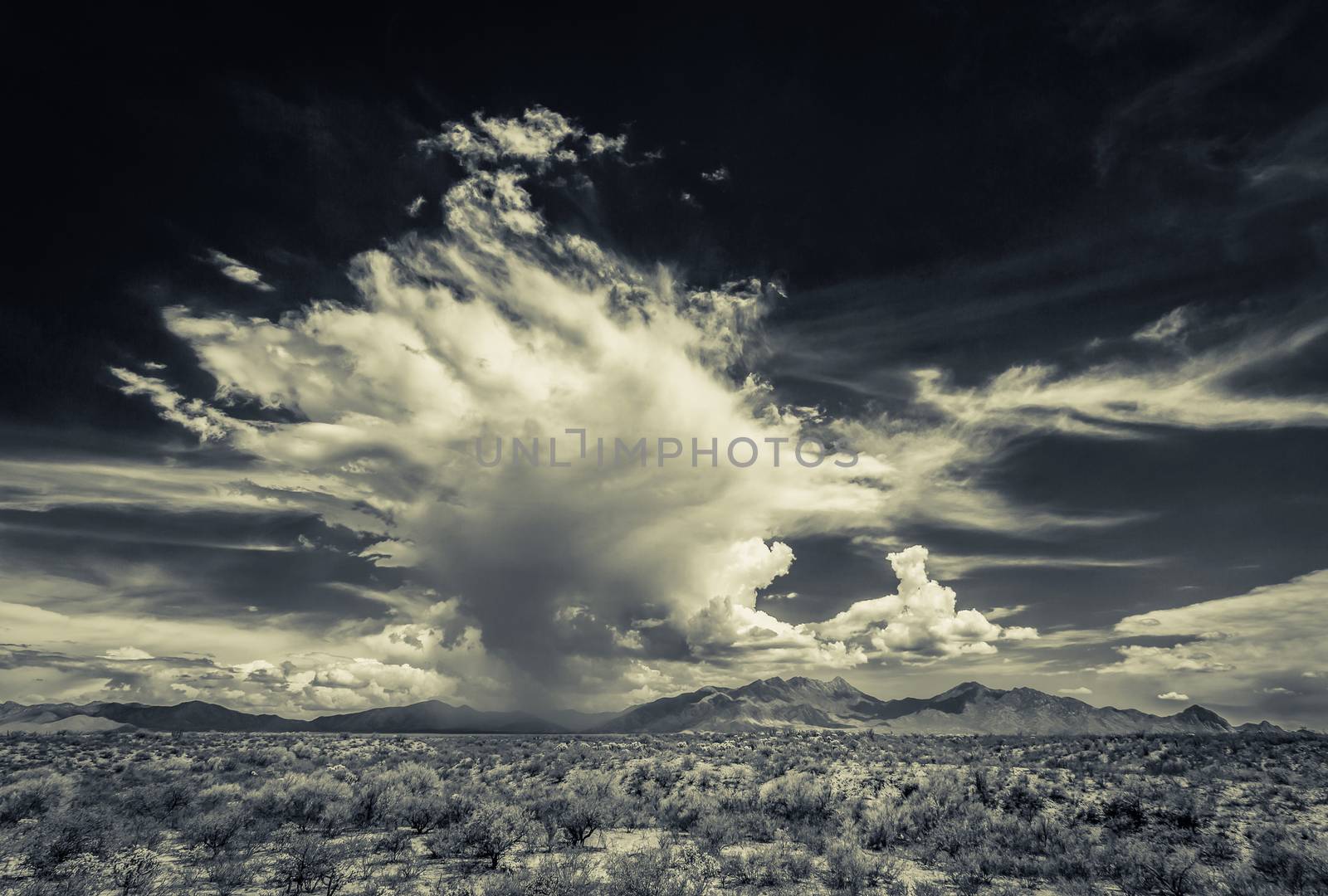 Dramatic Monsoon Clouds in Desert by Creatista