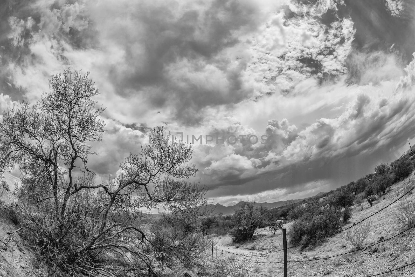 Wide angle view of desert with barbed wire fence