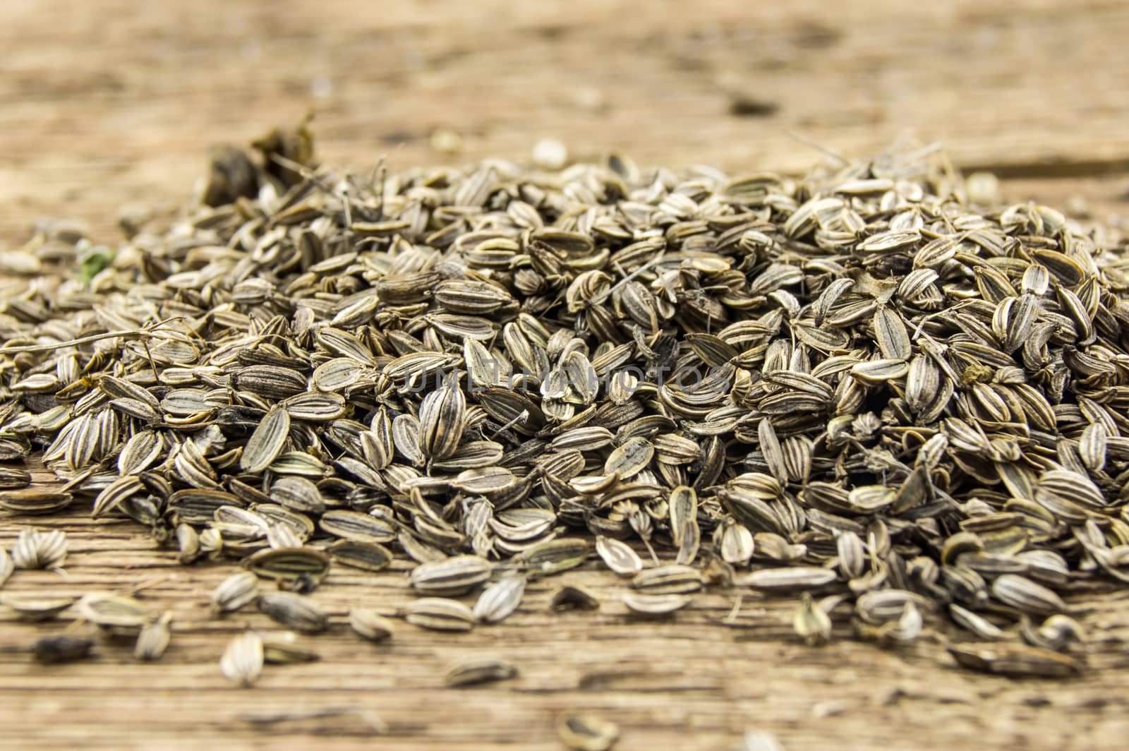 A pile of marigold seeds is ready to plant in a spring garden on wooden background