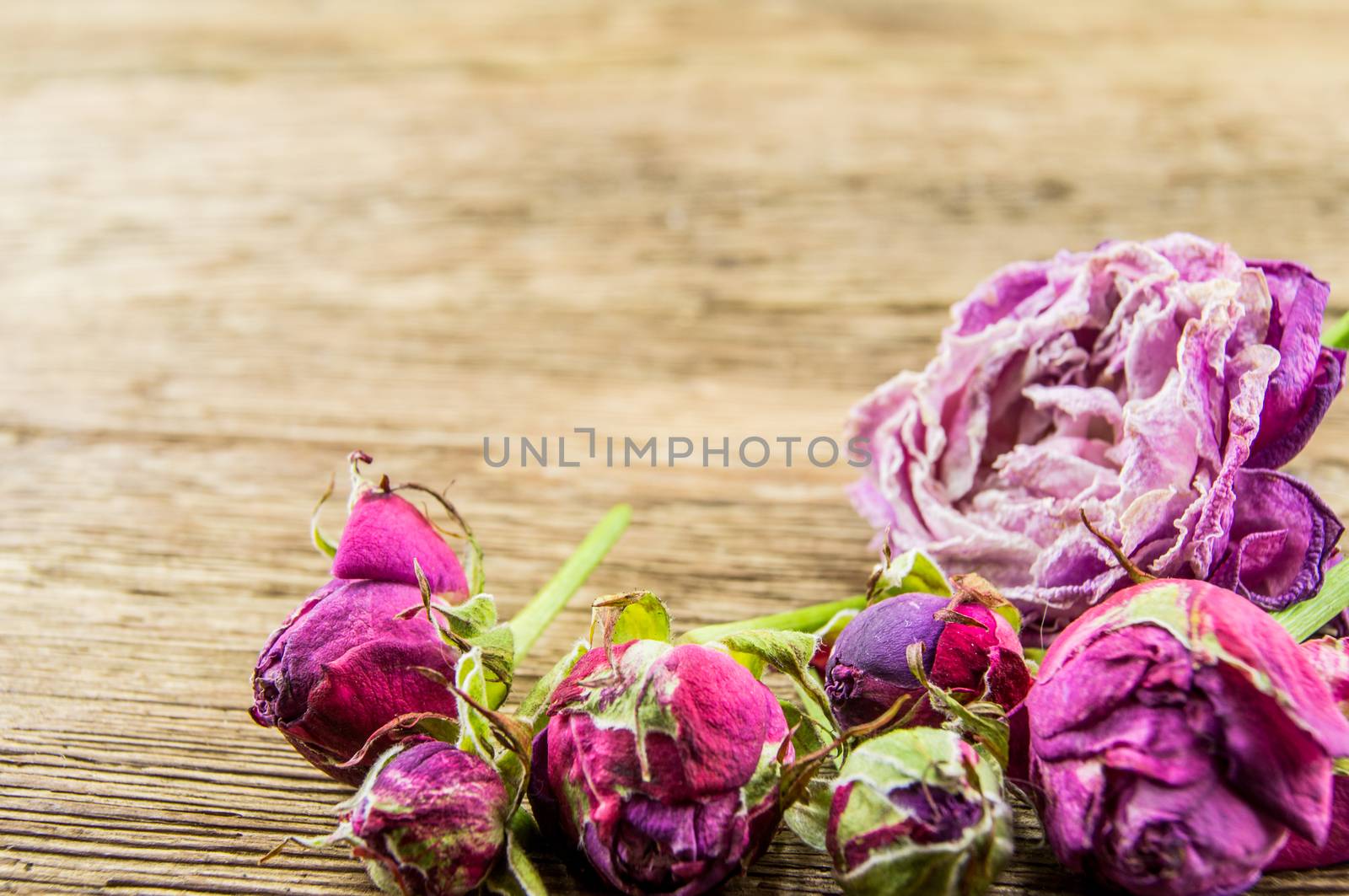 Red rose over wooden background by serhii_lohvyniuk