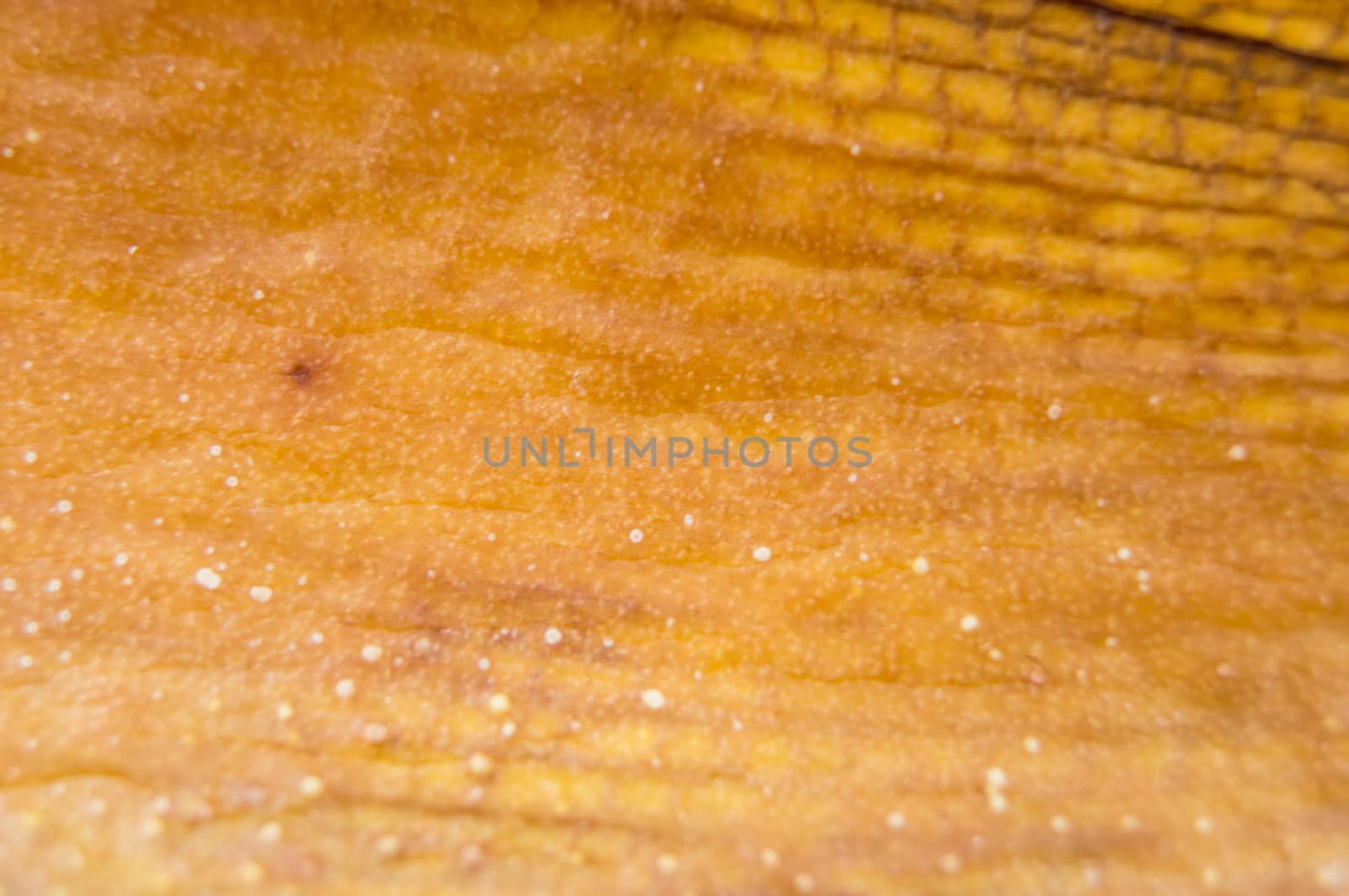 diseased leaf orchid lie on a wooden background.