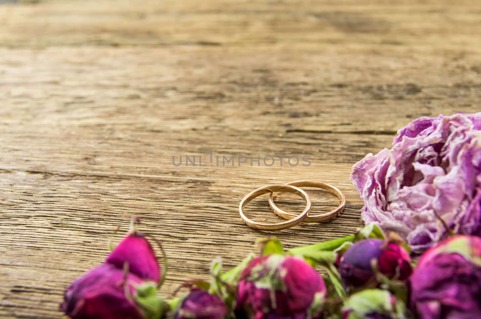 Red rose over wooden background by serhii_lohvyniuk