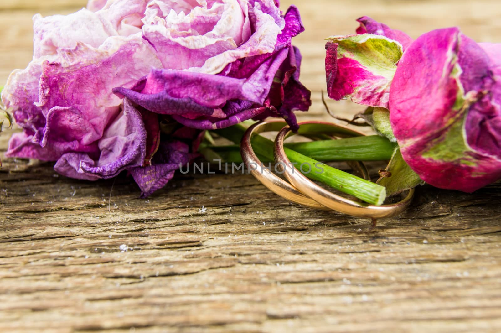 Red rose over wooden background by serhii_lohvyniuk