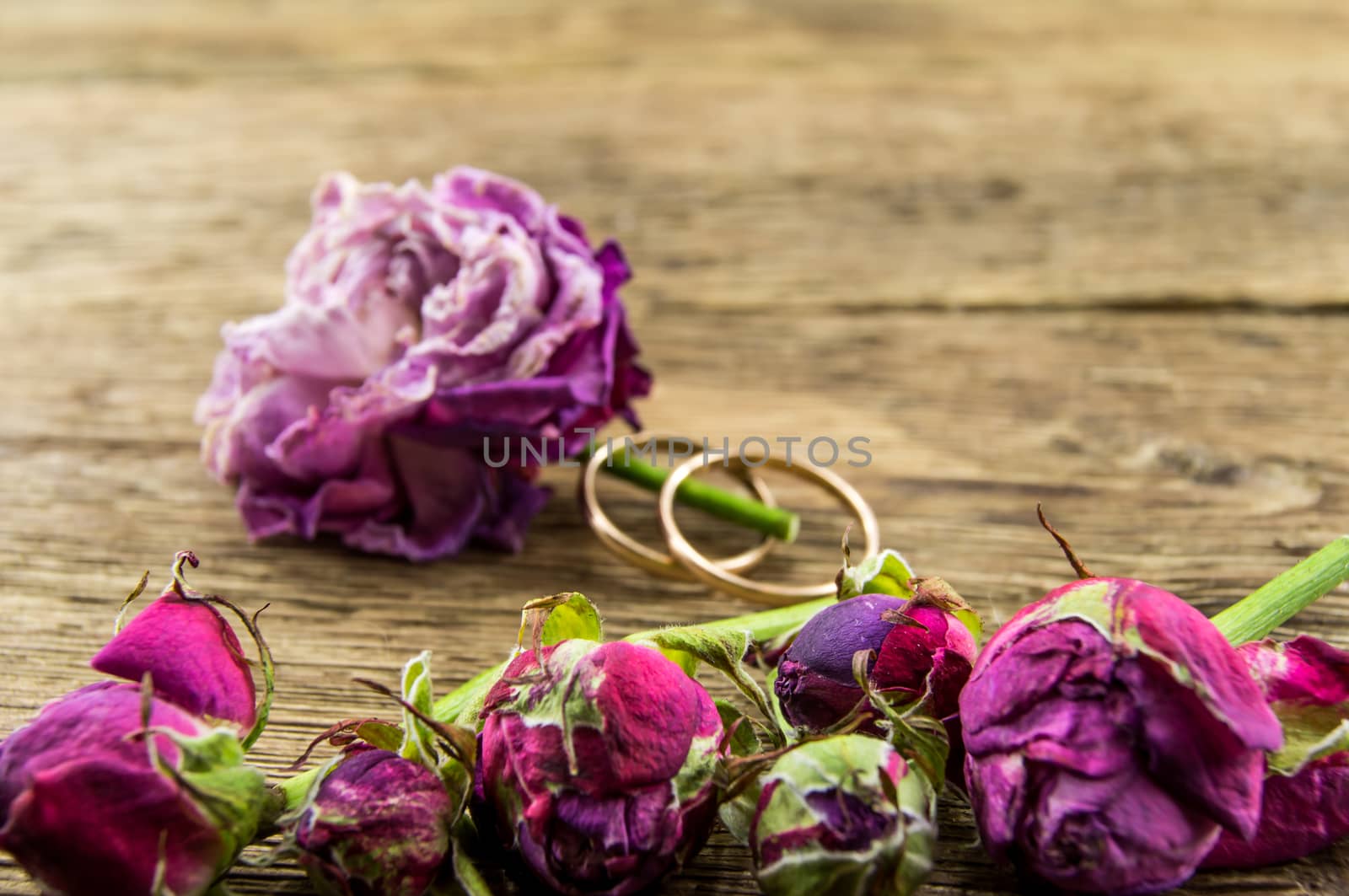 Red rose over wooden background by serhii_lohvyniuk