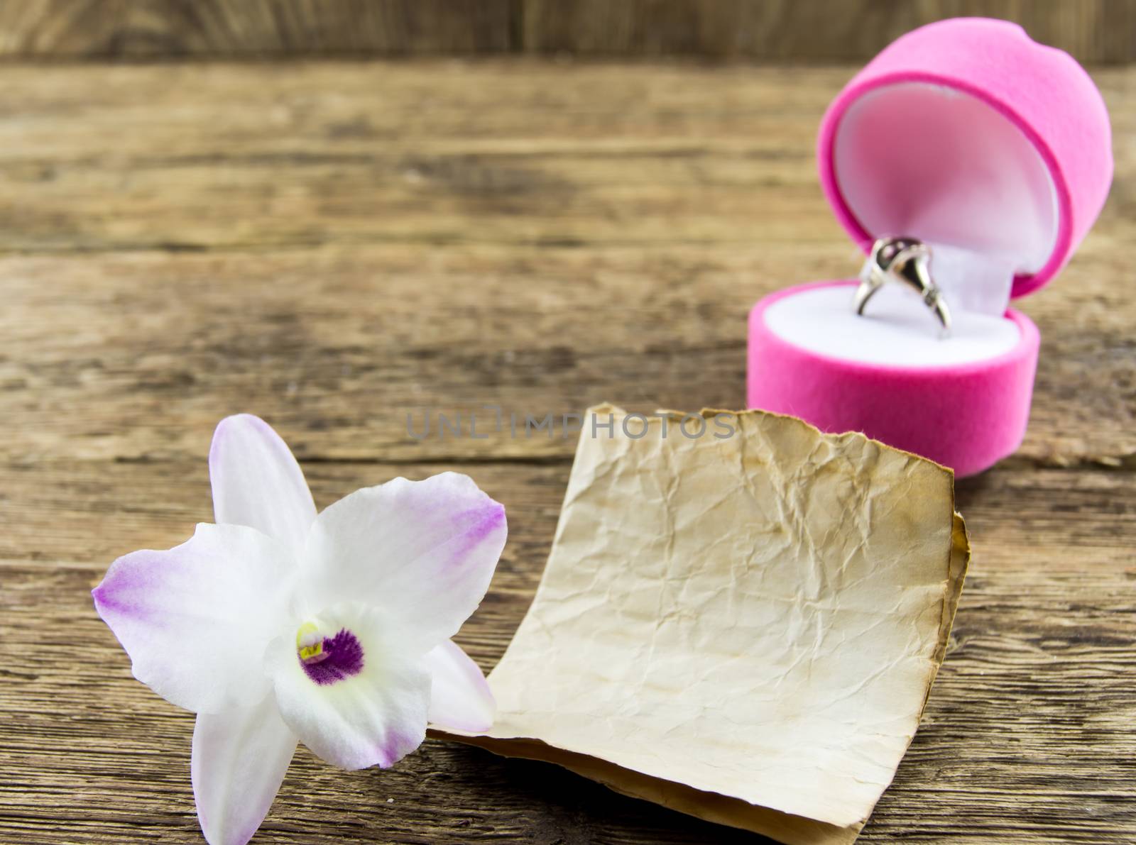 orchid flower on wooden background with space for inscriptions