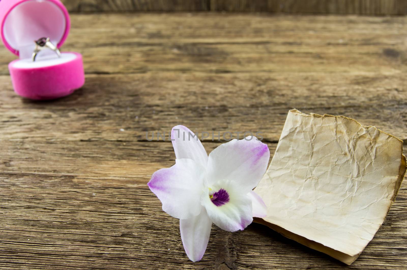 orchid flower on wooden background with space for inscriptions. by serhii_lohvyniuk