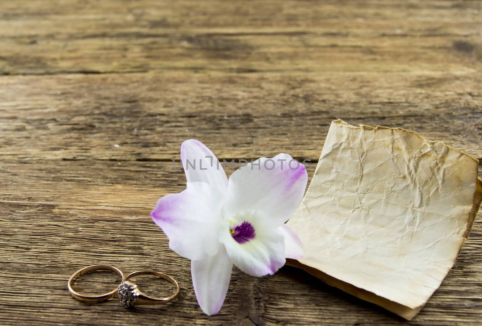 orchid flower on wooden background with space for inscriptions. by serhii_lohvyniuk