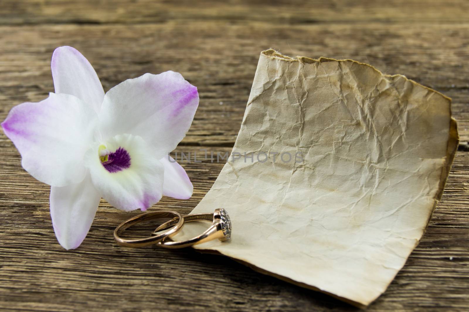 orchid flower on wooden background with space for inscriptions. by serhii_lohvyniuk