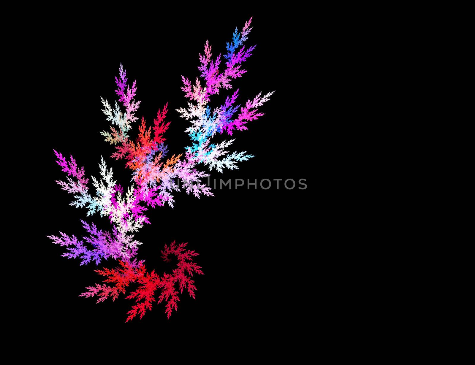 Multicolor fractal flower on black background. Computer generated graphics